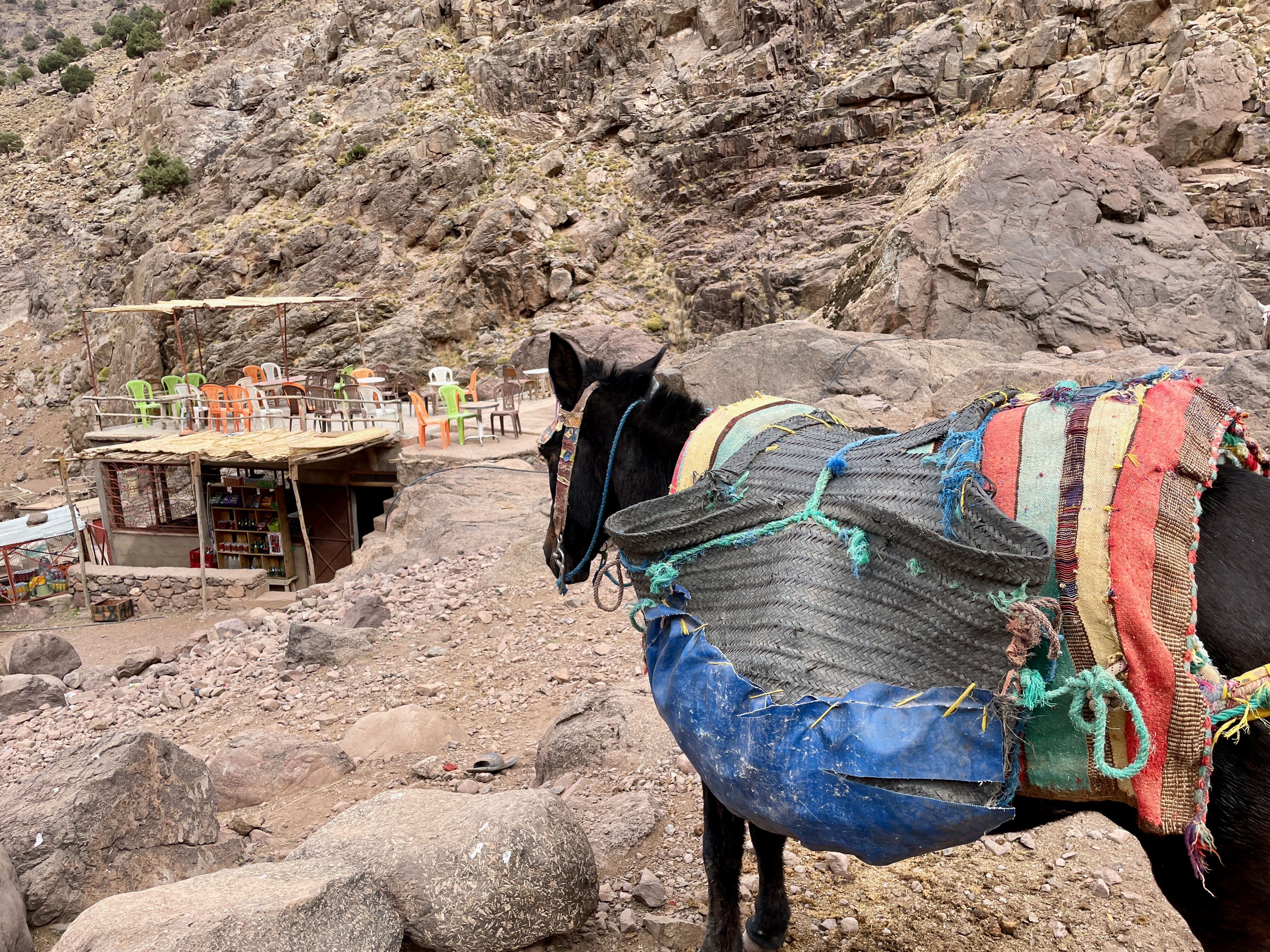 Refuge Nelter - Aremd 