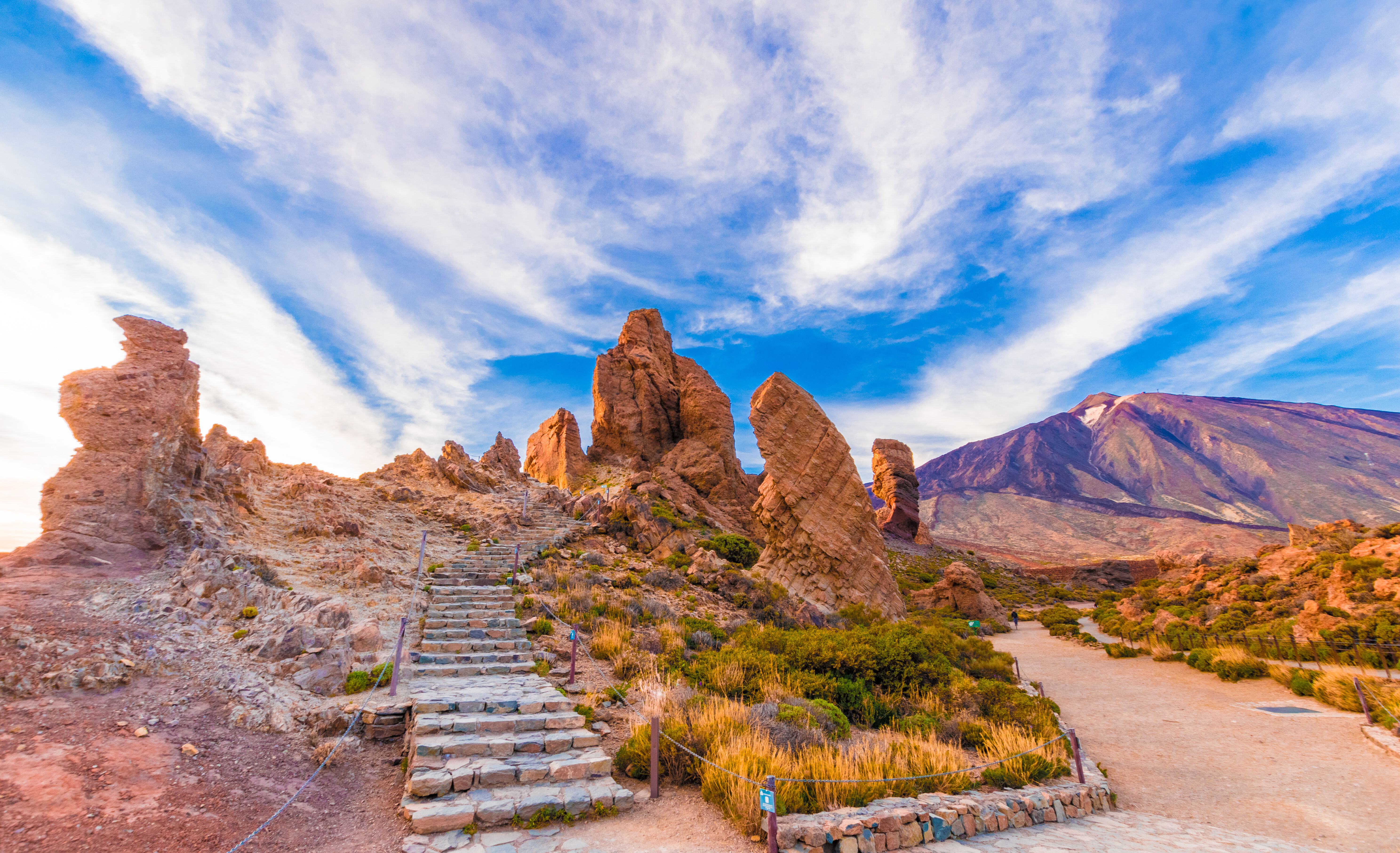 Journée dans le Parc National du Teide 