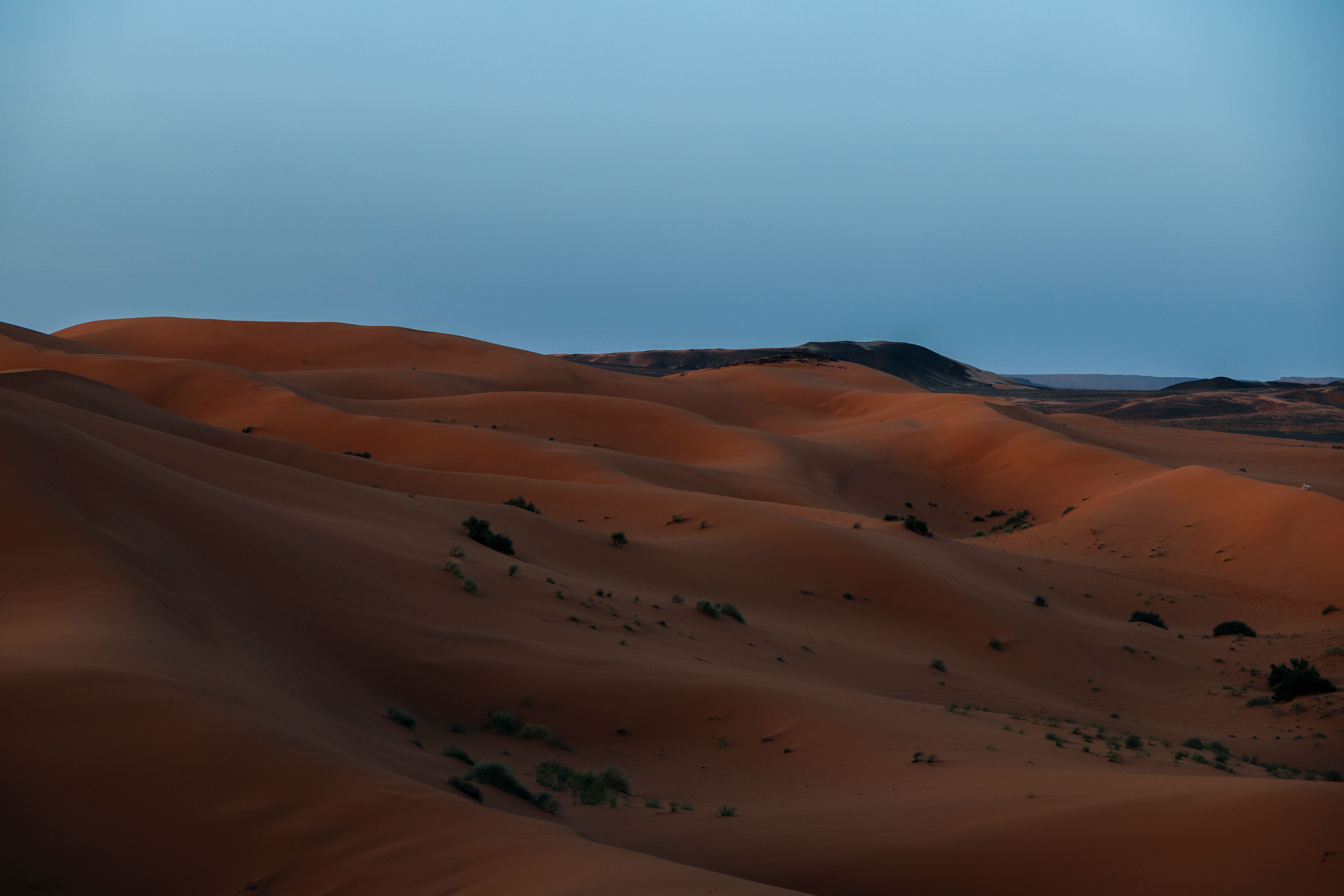 Merzouga - Tazzarine  
