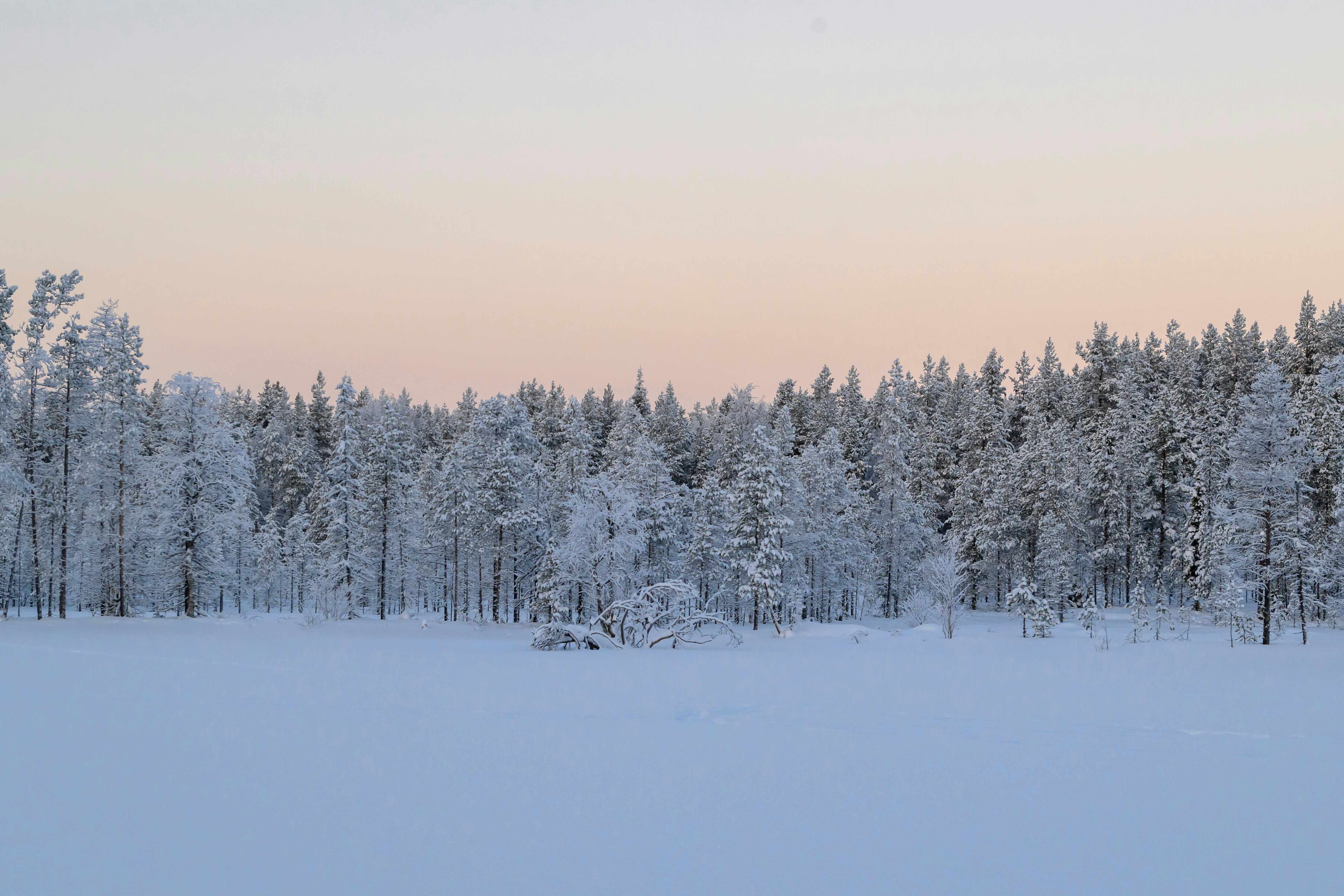 Salla - Kuusamo : vol retour 