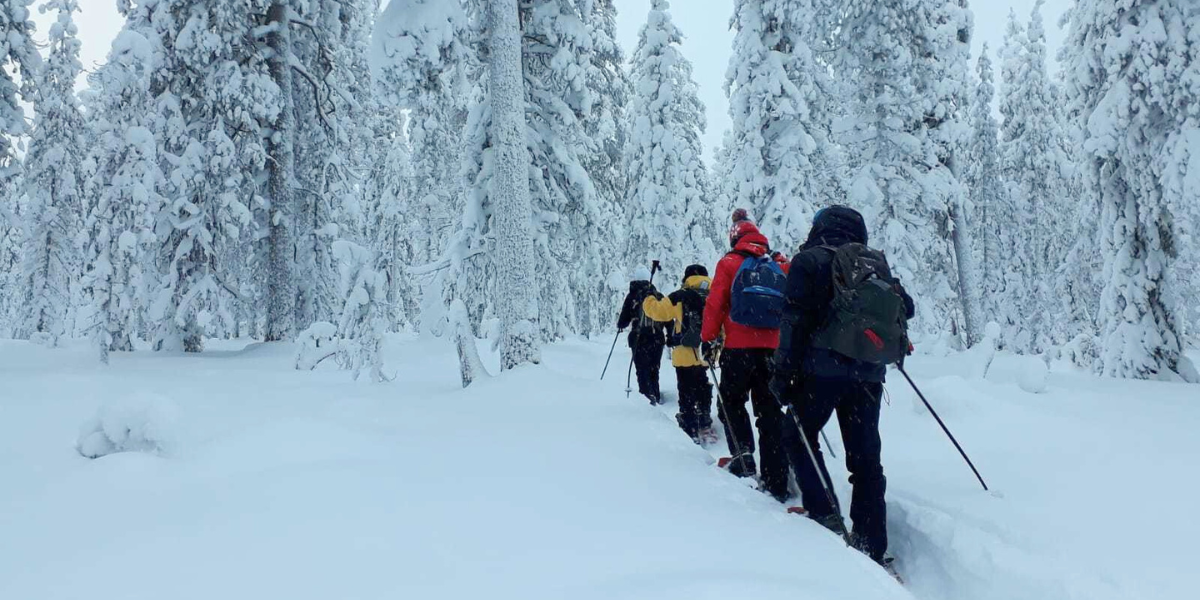 Balade en raquettes sur la presqu'île de Sepiniemi et Réveillon 