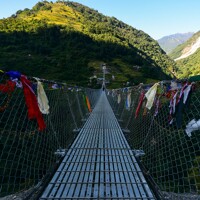Tadapani- Ghorepani : trek au pays des rhododendrons géants et Réveillon ! 🎉