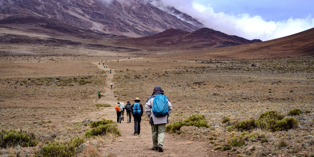 Sur les pentes du Kilimanjaro 