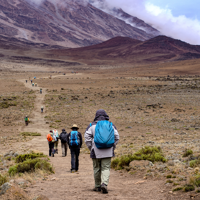 Sur les pentes du Kilimanjaro