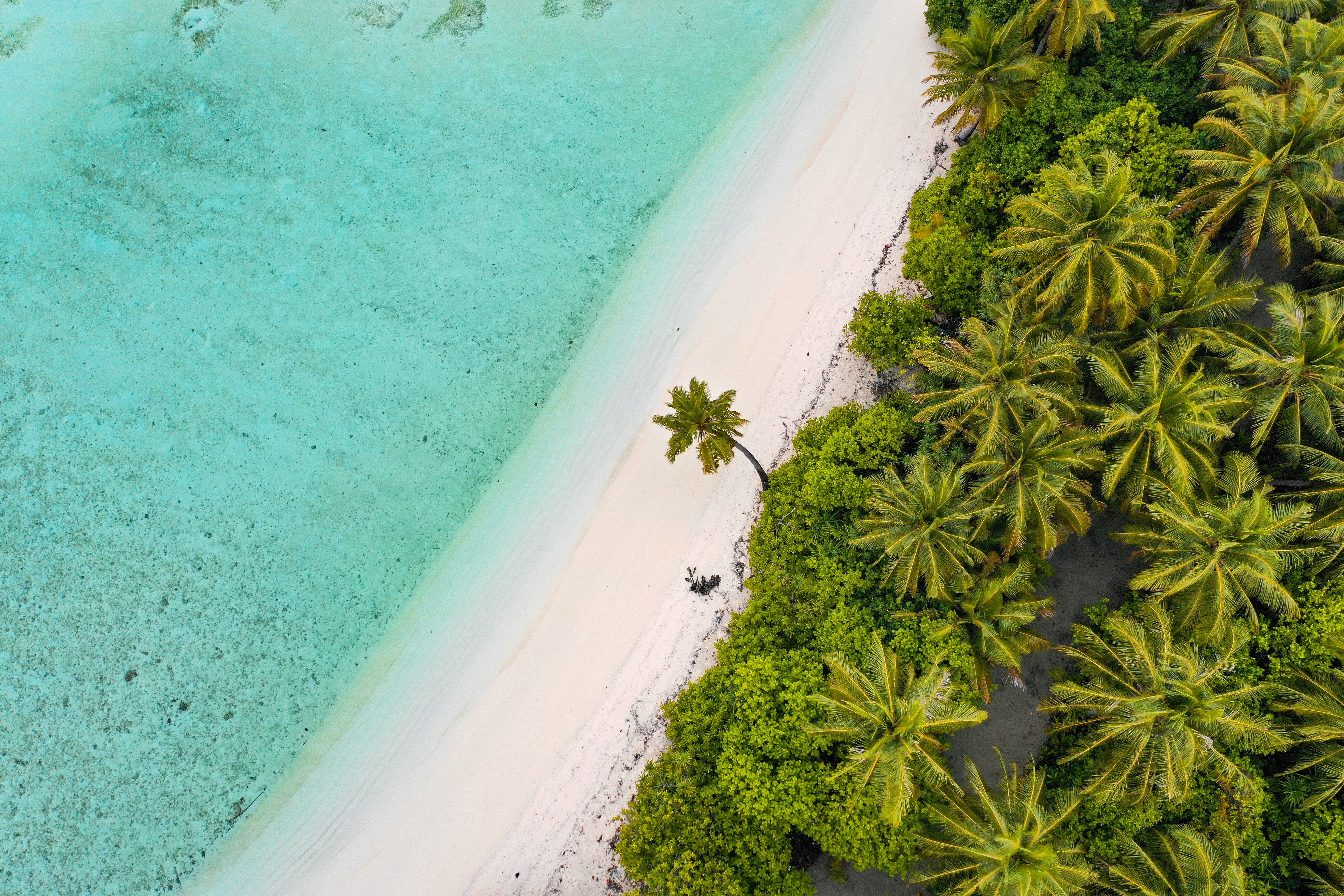 Vol pour Malé - Laguna Velli (Malé Atoll Sud) 