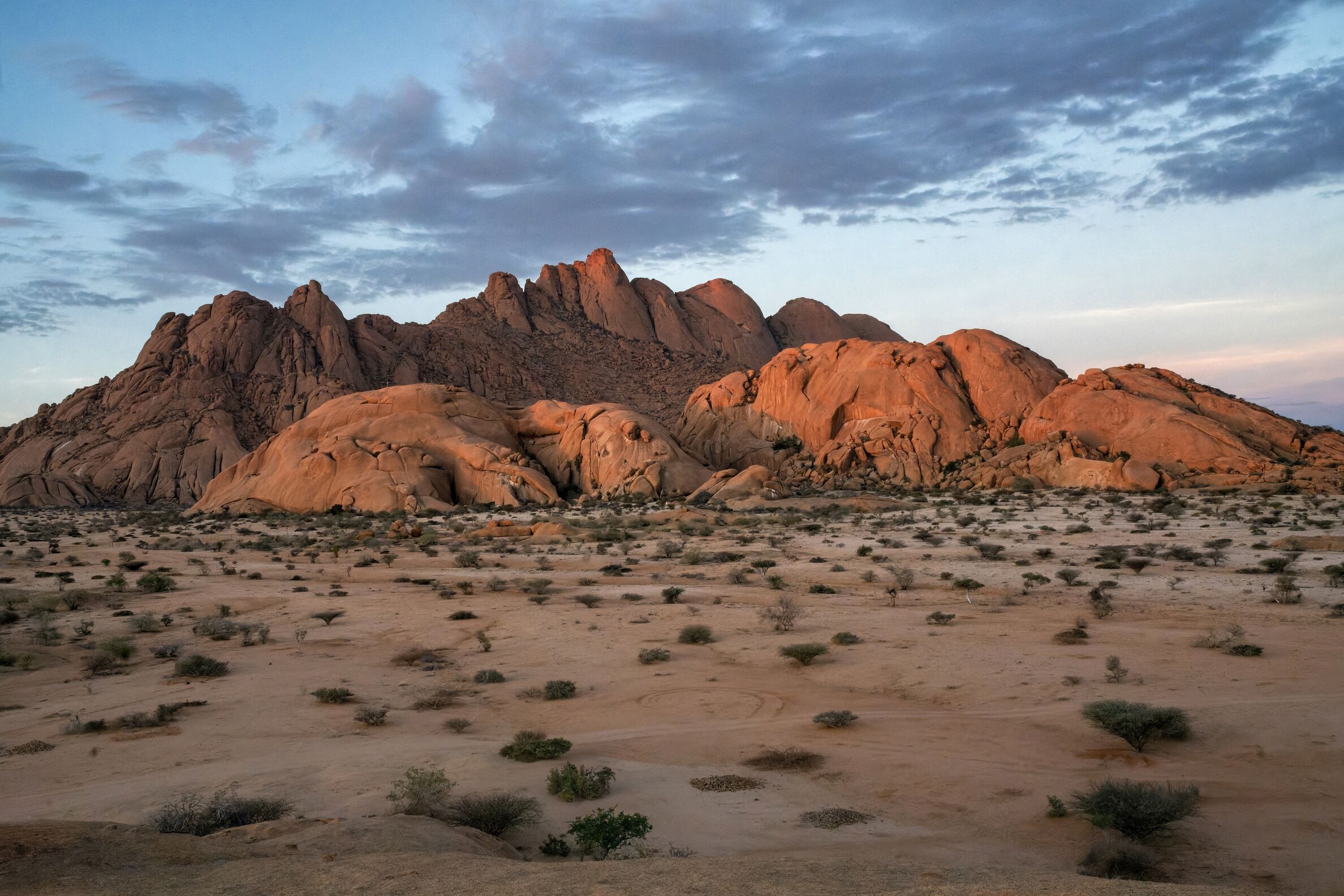 D'Etosha à Omaruru et Réveillon ! 🥳