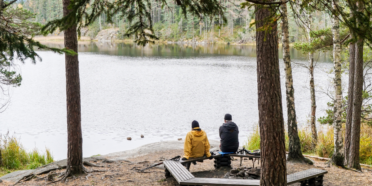 Randonnée dans le parc national de Tyresta