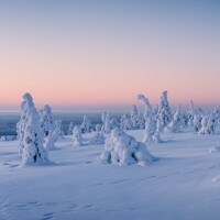 Bye bye la Finlande !