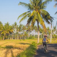 Vélo, rando & direction Pemuteran
