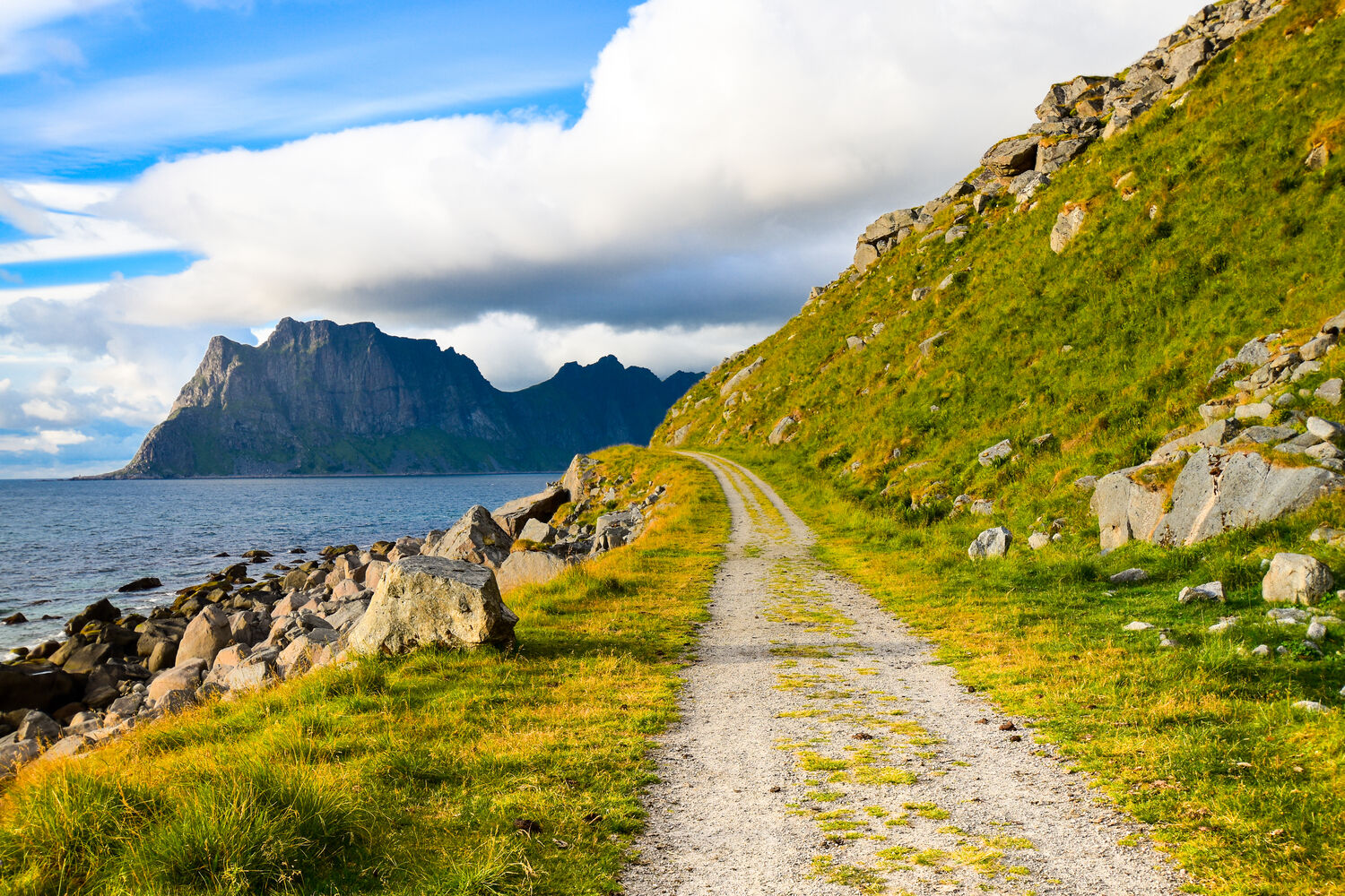 Musée viking et visite de Nusfjord 