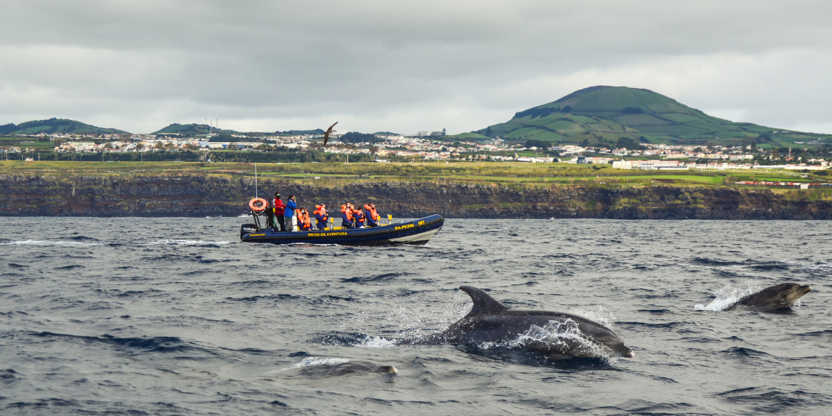 Ponta Delgada : excursion en mer