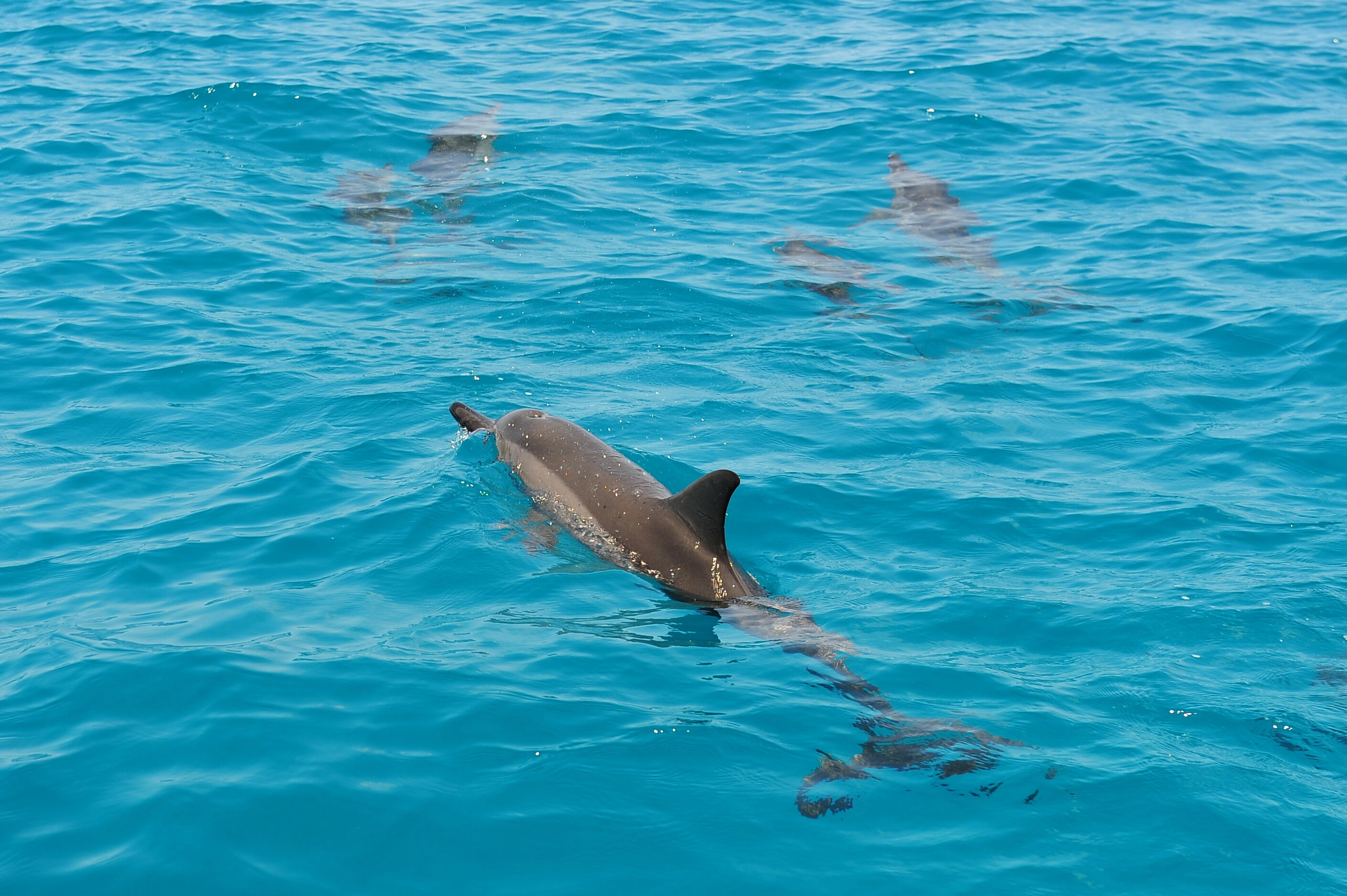 Dhangethi - Guraidhoo 