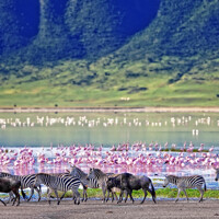 Le cratère du Ngorongoro