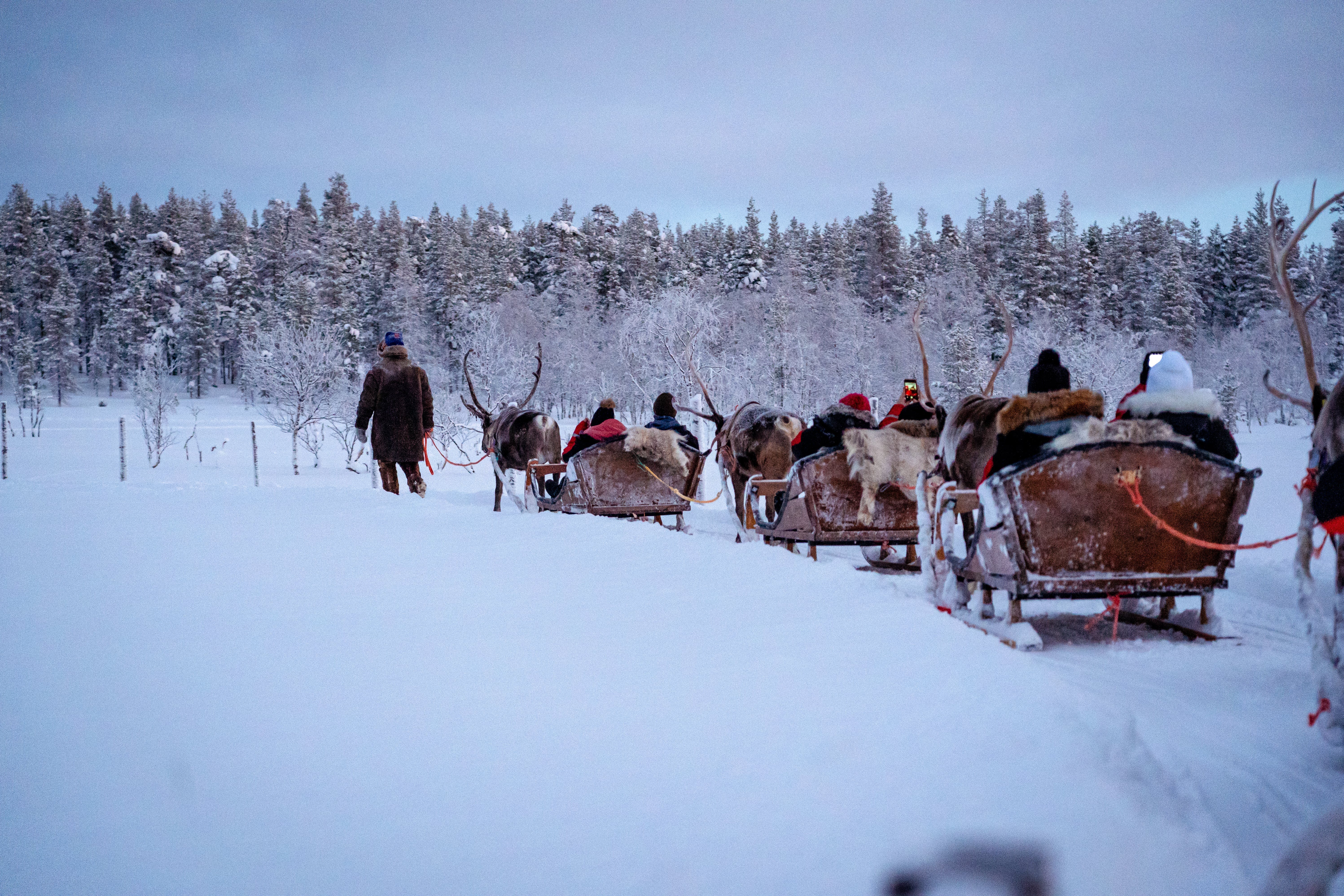 Rencontre avec les Rennes 