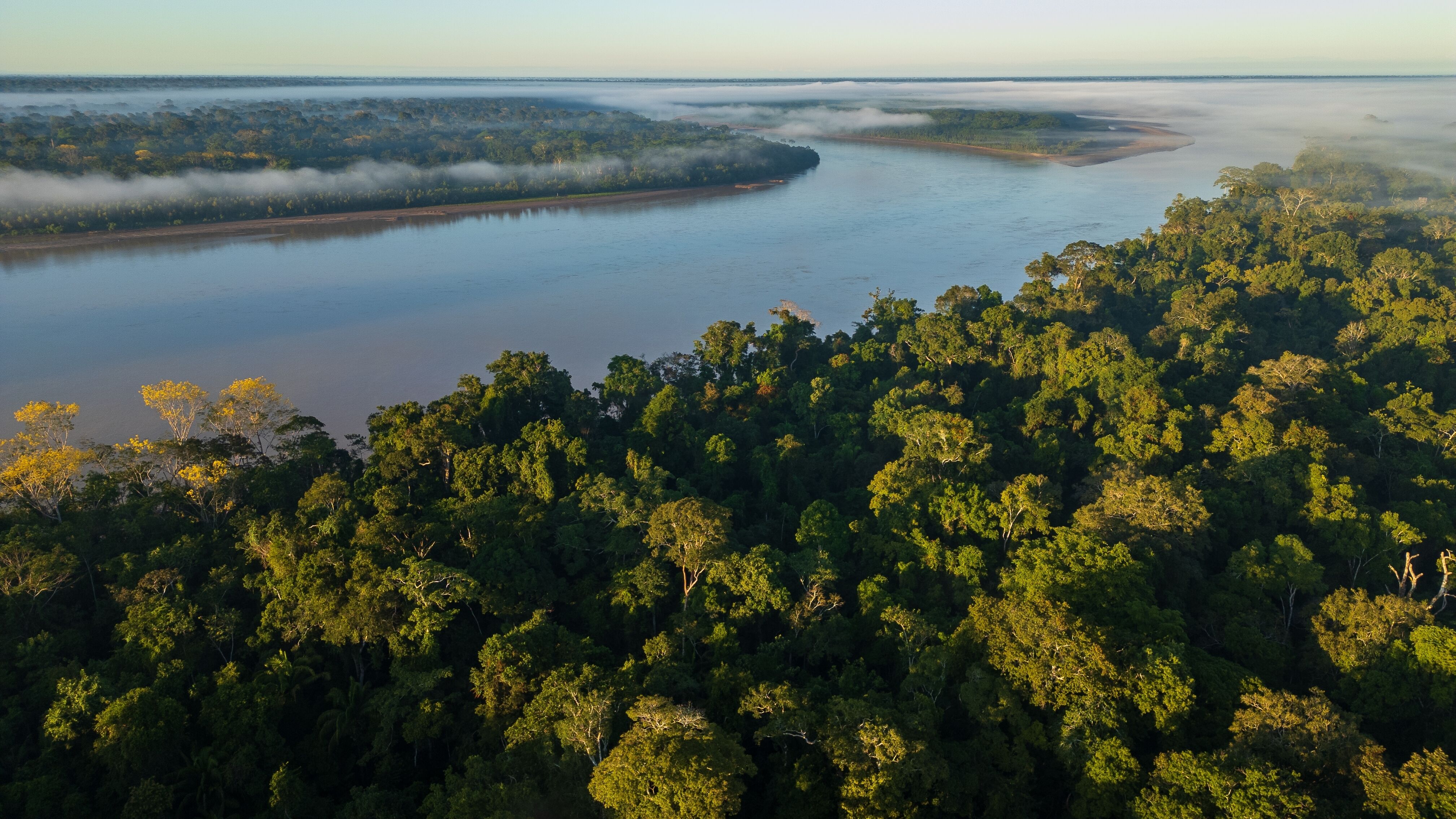 Cusco - Forêt des nuages - Chontachaca 