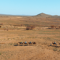 Dunes de Foum Tizza - Jbel Serdrar