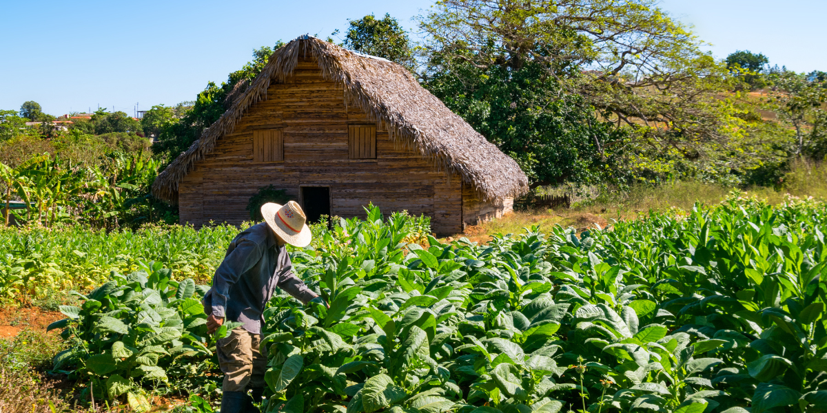 San Diego de los Baños - Pinar del Río 