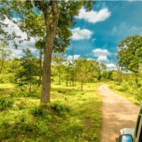 Safari en 4x4 dans le parc national d'Udawalawe