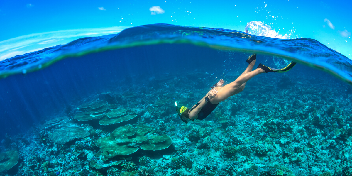 Snorkeling Trip à Menjangan