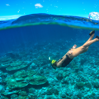 Snorkeling Trip à Menjangan