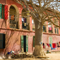 Ile de Gorée et vol retour