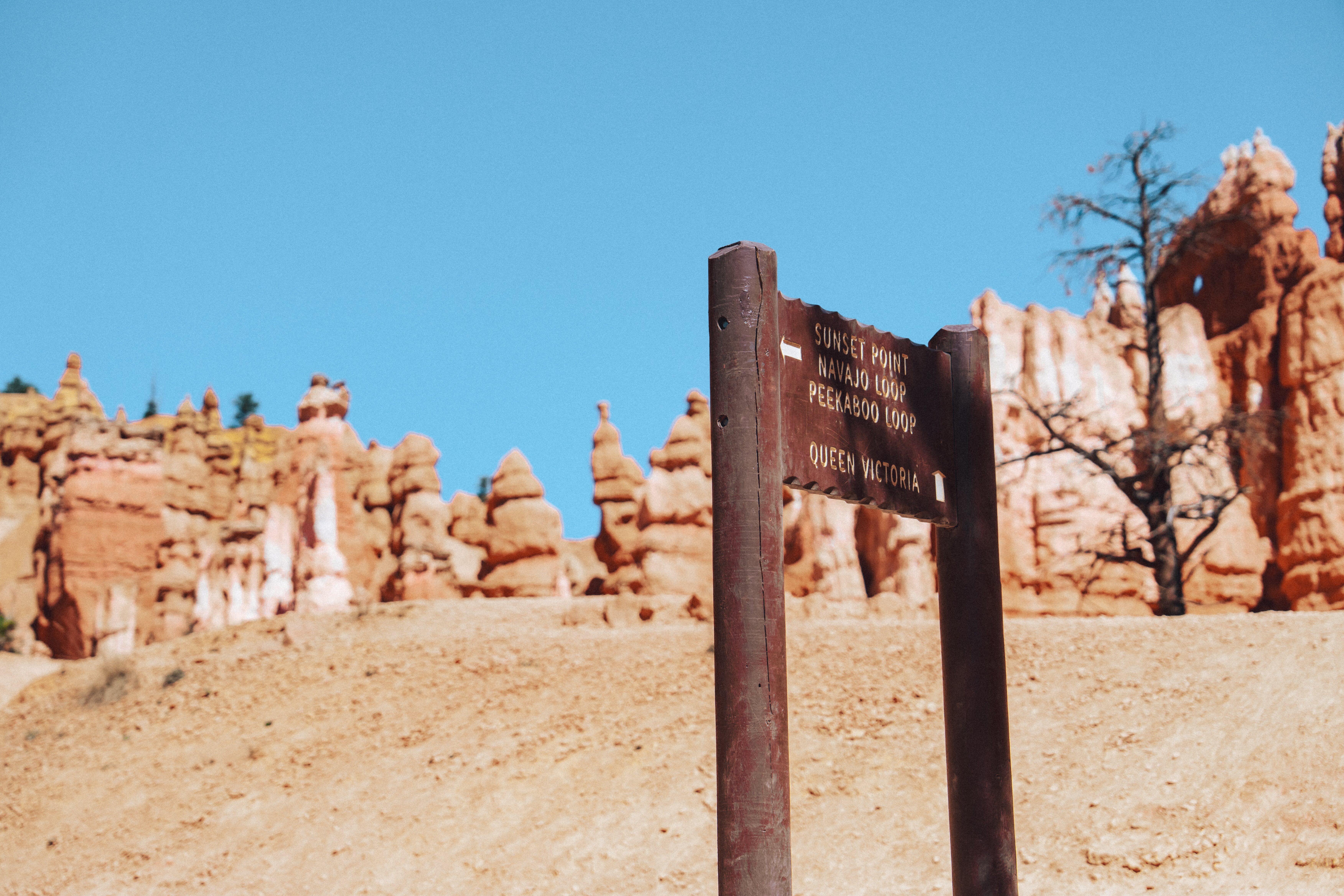 Bryce Canyon - Zion National Park