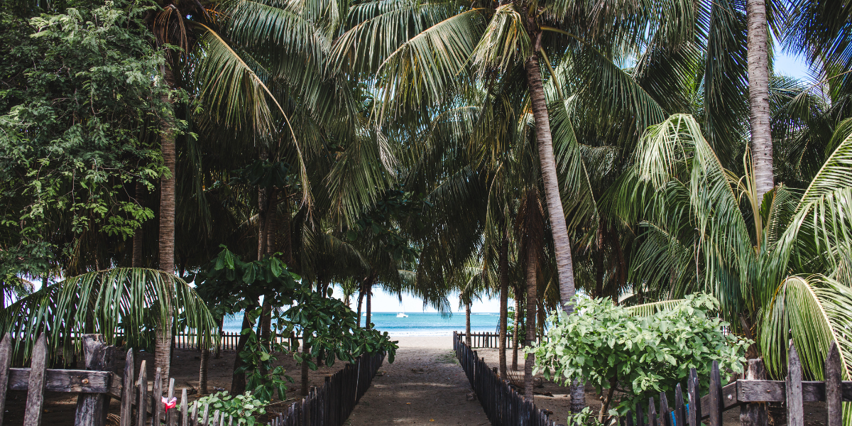 Journée libre à San Juan del Sur ! 