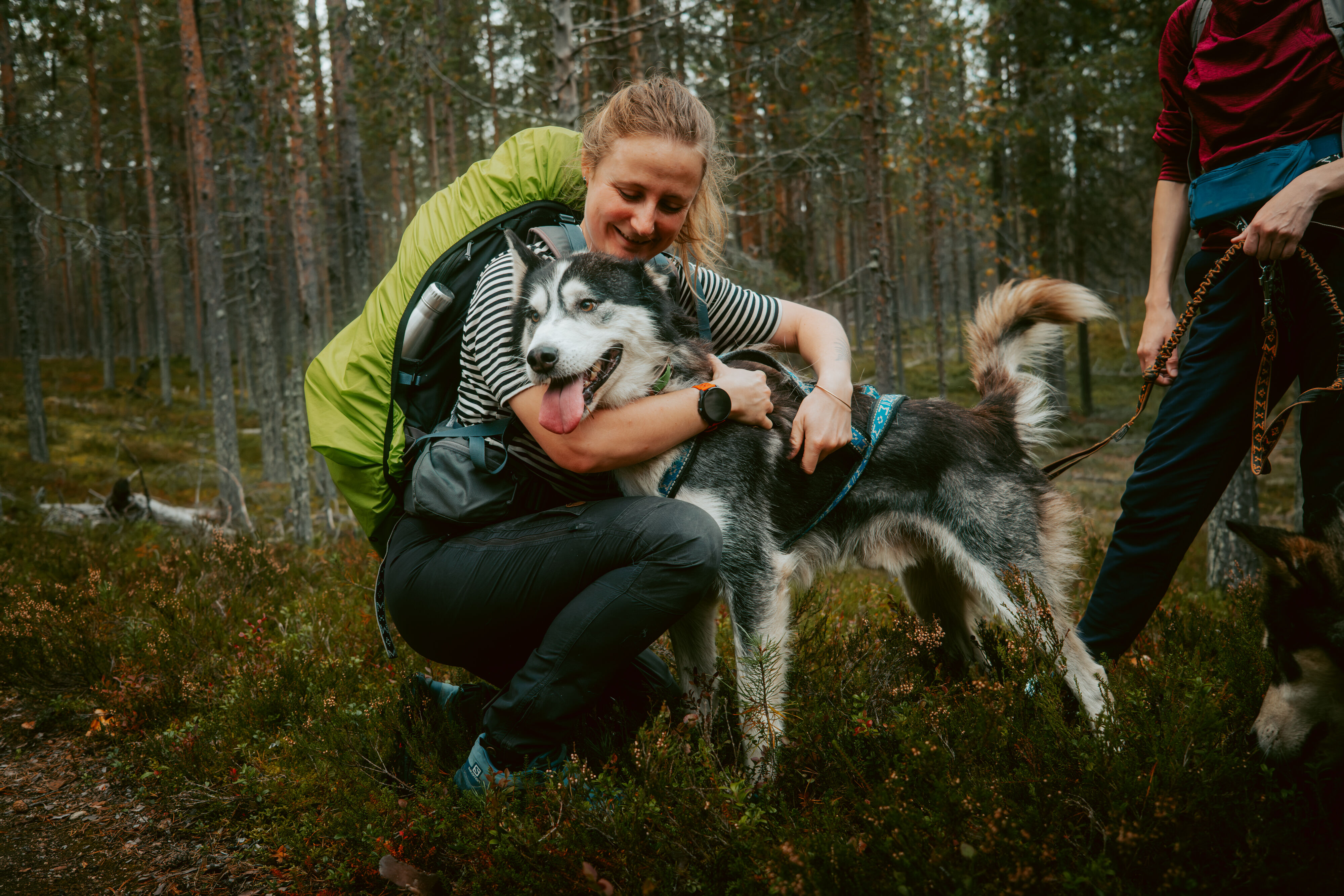 Hossa : cani-rando 