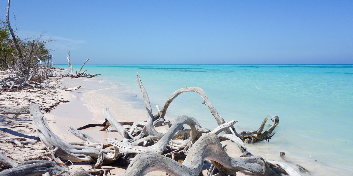Viñales - Cayo Jutía - Palma Rubia 