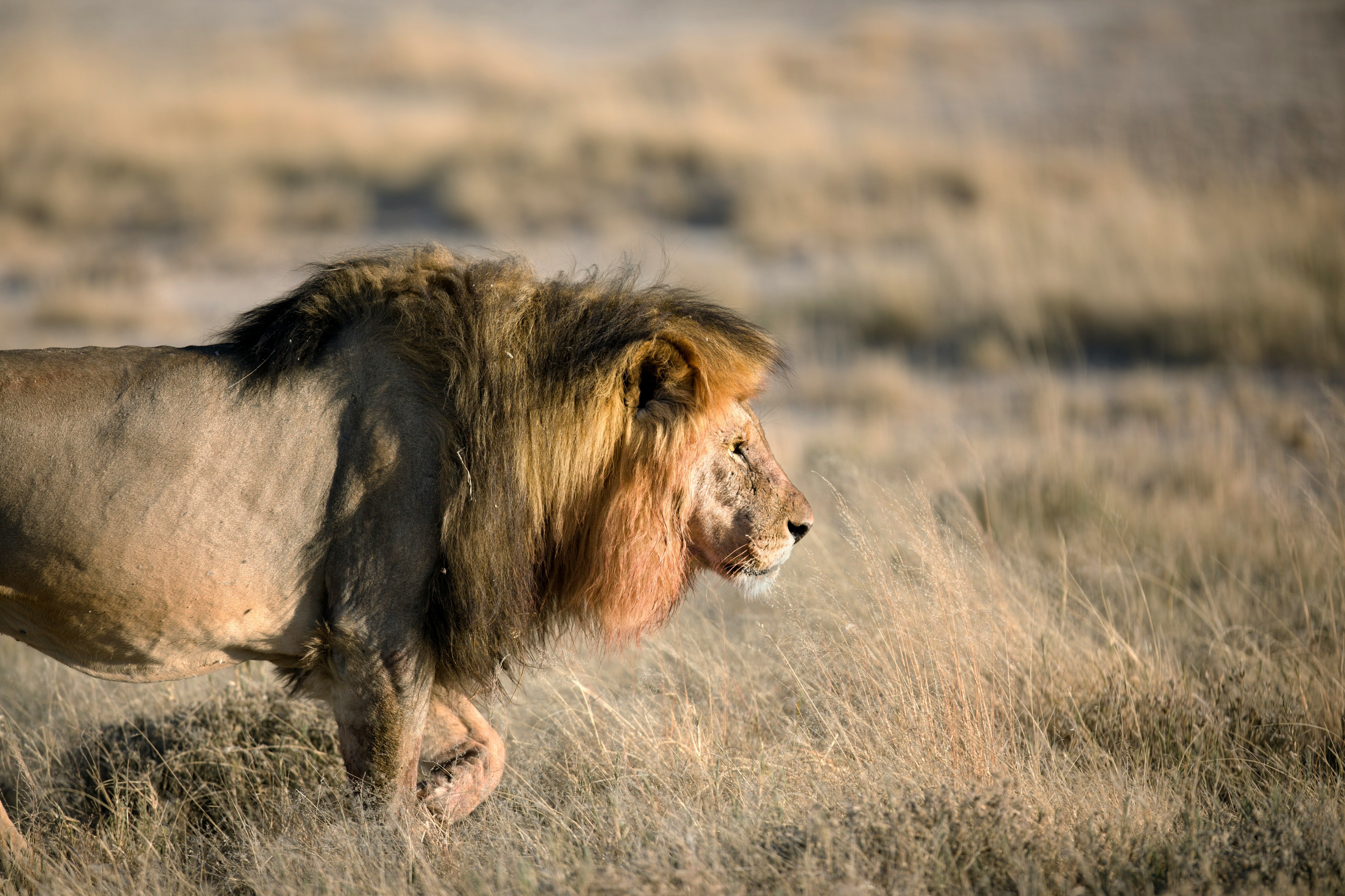Waterberg - Parc National d’Etosha 