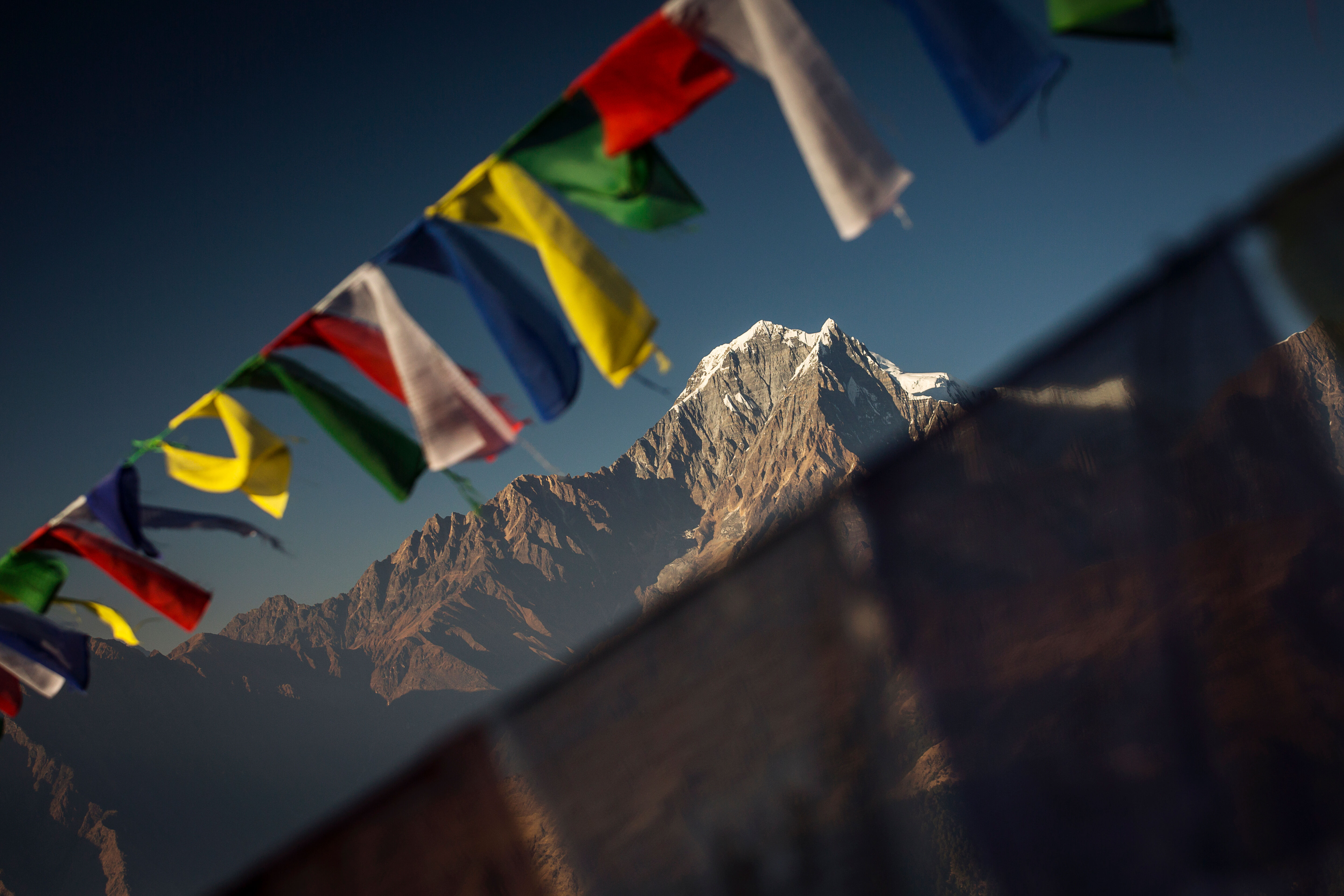 Népal, trek des Annapurnas 