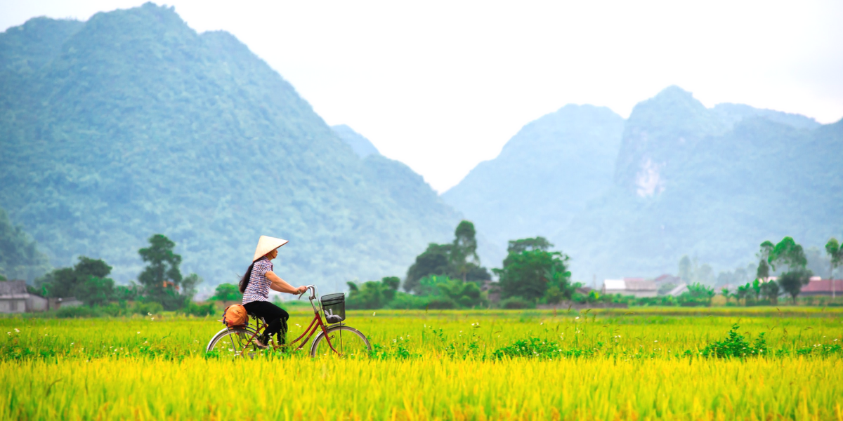Rando & vélo au Vietnam 