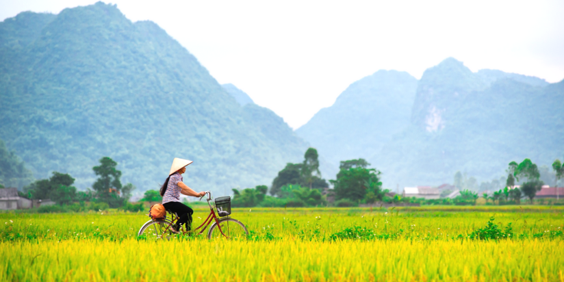 Rando & vélo au Vietnam