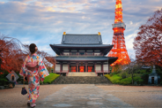 Japon entre tradition et modernité
