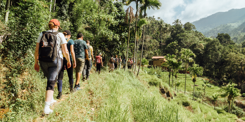 Immersion au Sri Lanka