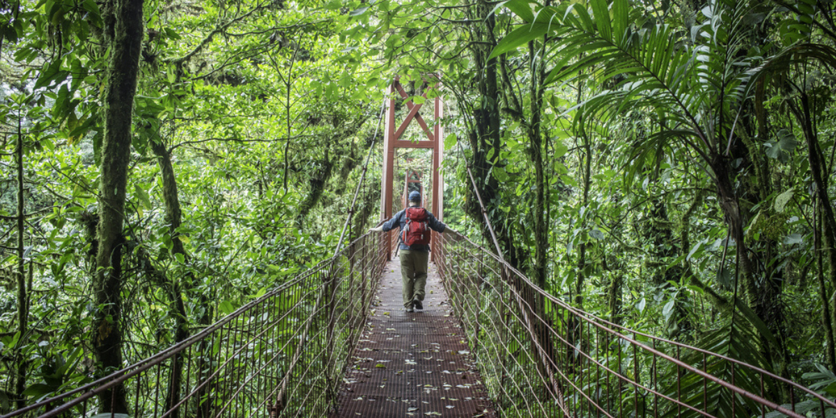 Aventure tropicale au Costa Rica