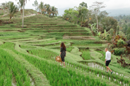 Nouvel An à Bali