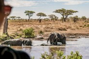 Aventures en Tanzanie