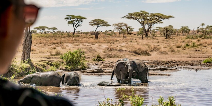 Aventures en Tanzanie
