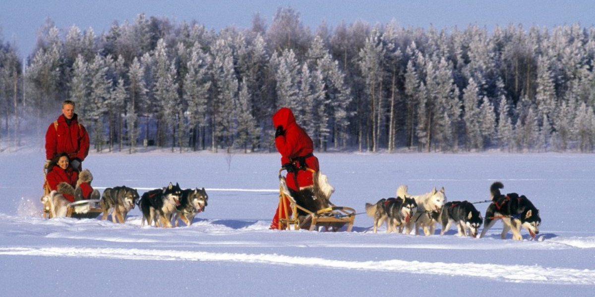 C'est parti pour une chevauchée blanche