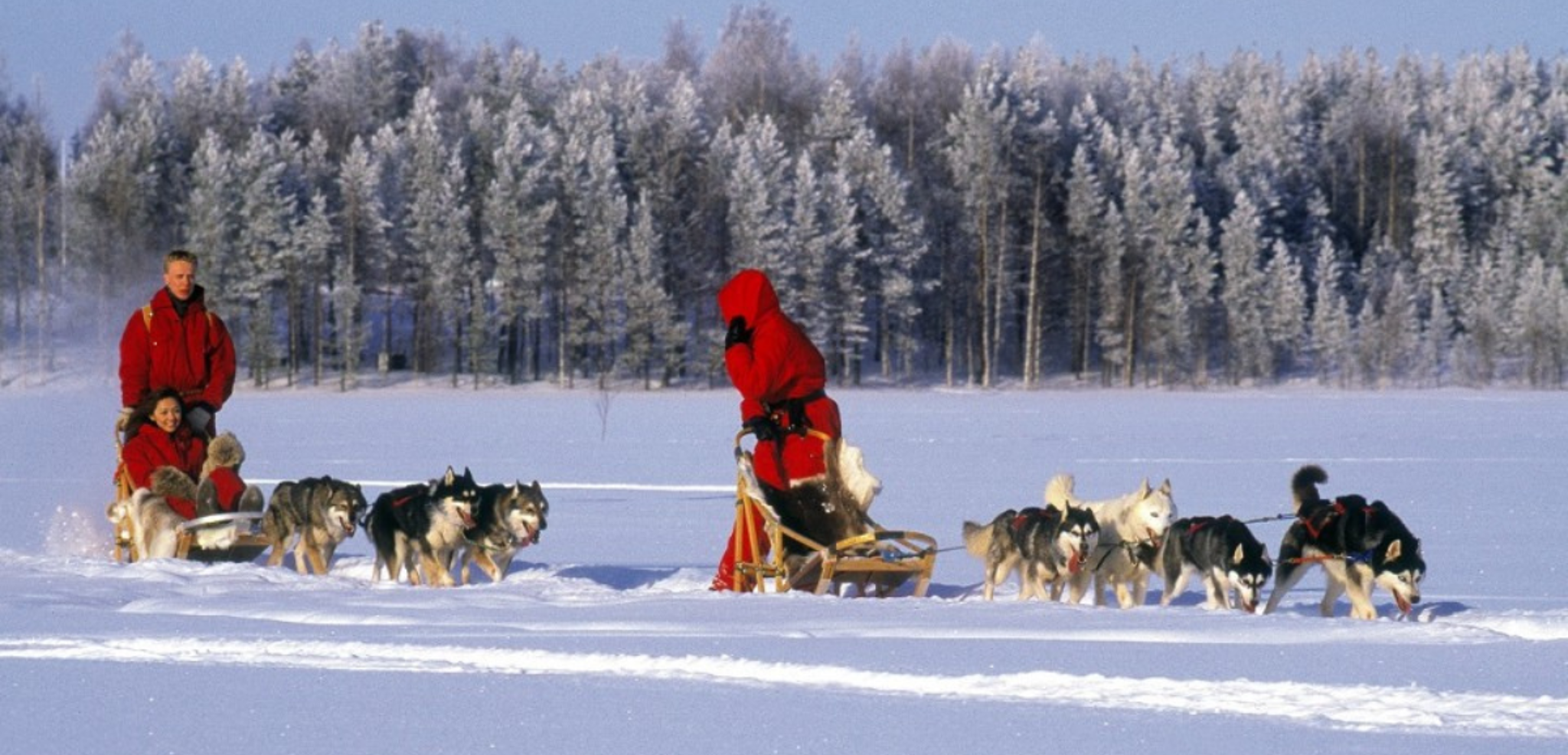 C'est parti pour une chevauchée blanche