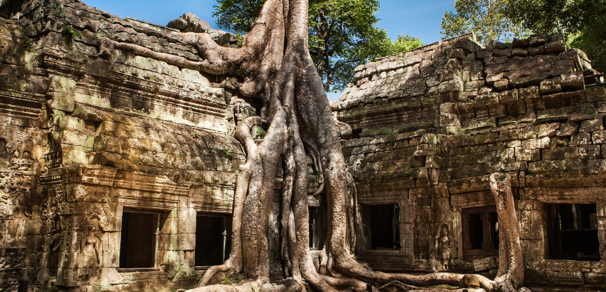 Le Temple de Ta Prohm dans la jungle de Siem Reap - jour 9