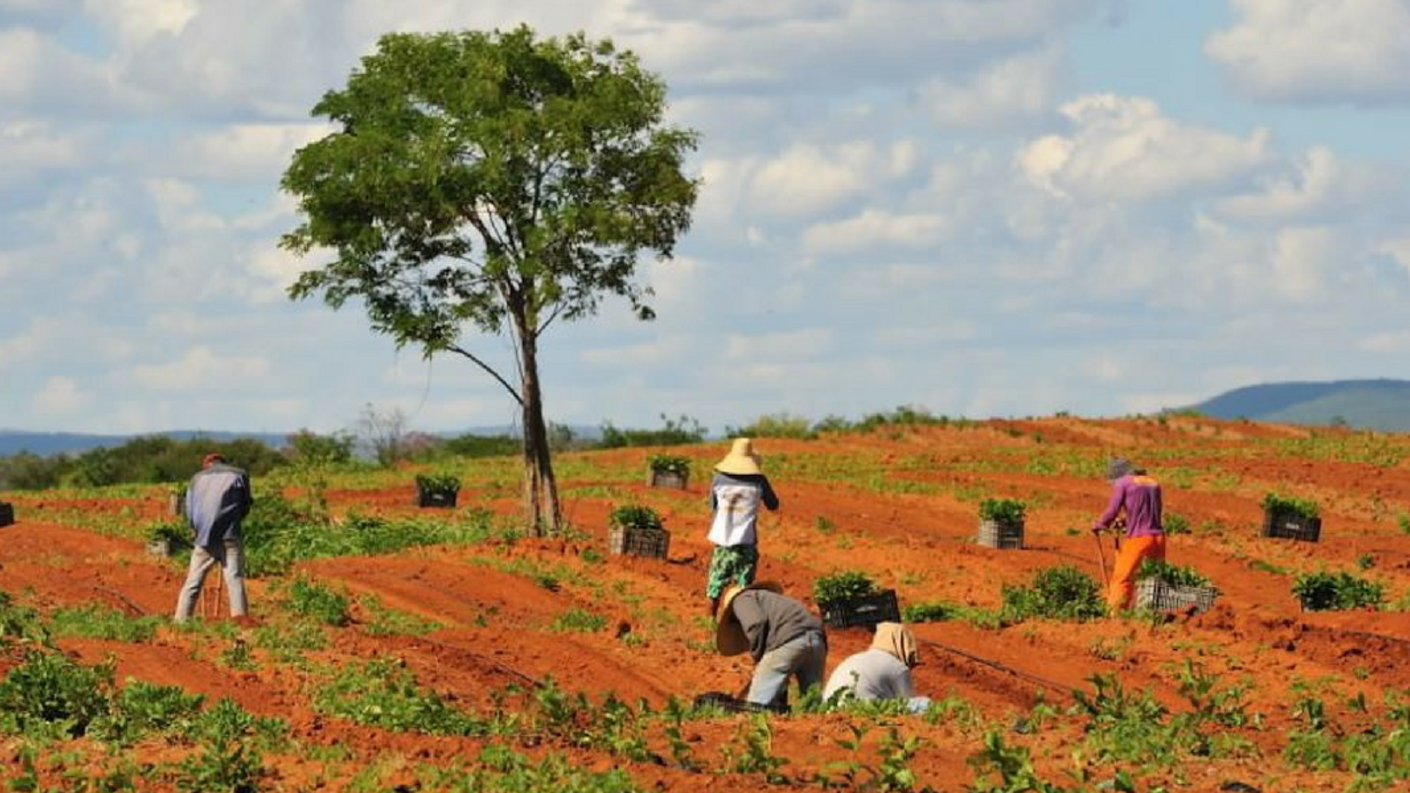 Fazenda Bio do Rio Negro