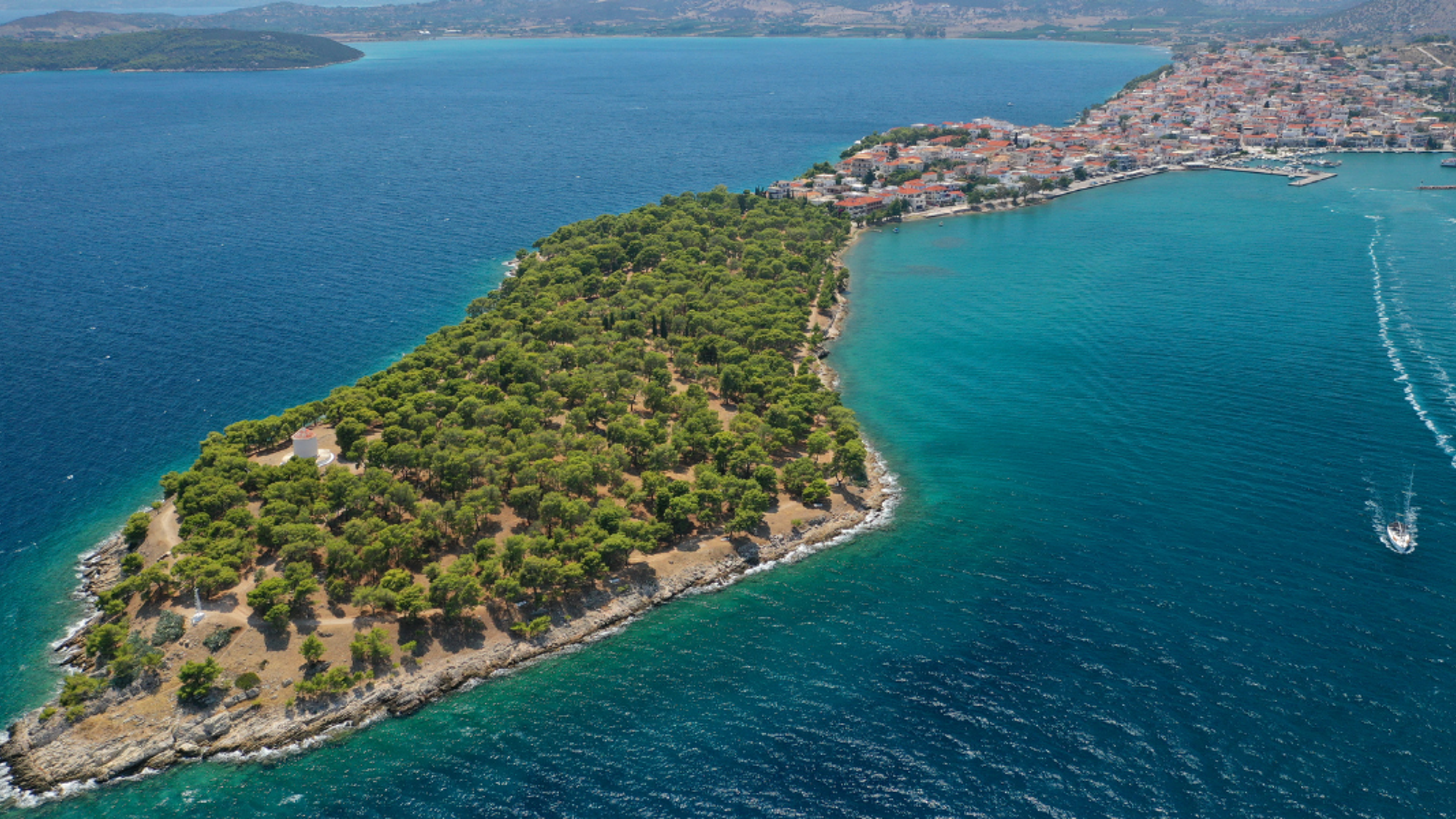 La pinède de Bilsti