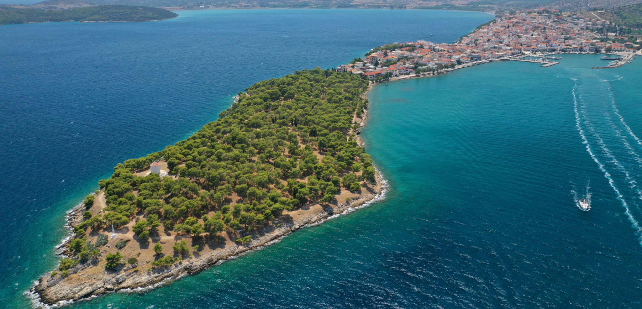 La pinède de Bilsti