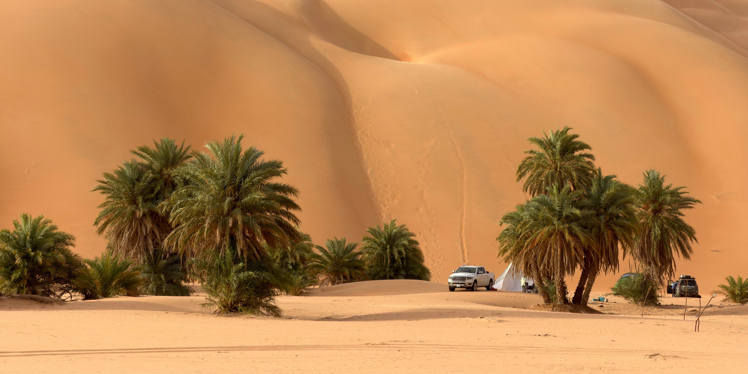 Oasis d'Azoueiga, désert d'Amatlich, Mauritanie, Afrique ©Shutterstock.com 