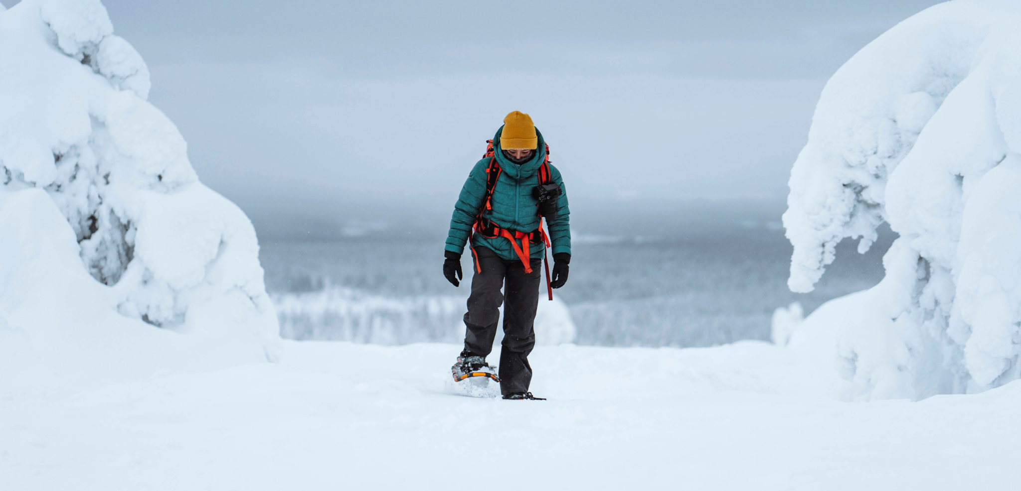 Excursion en raquettes, Finlande