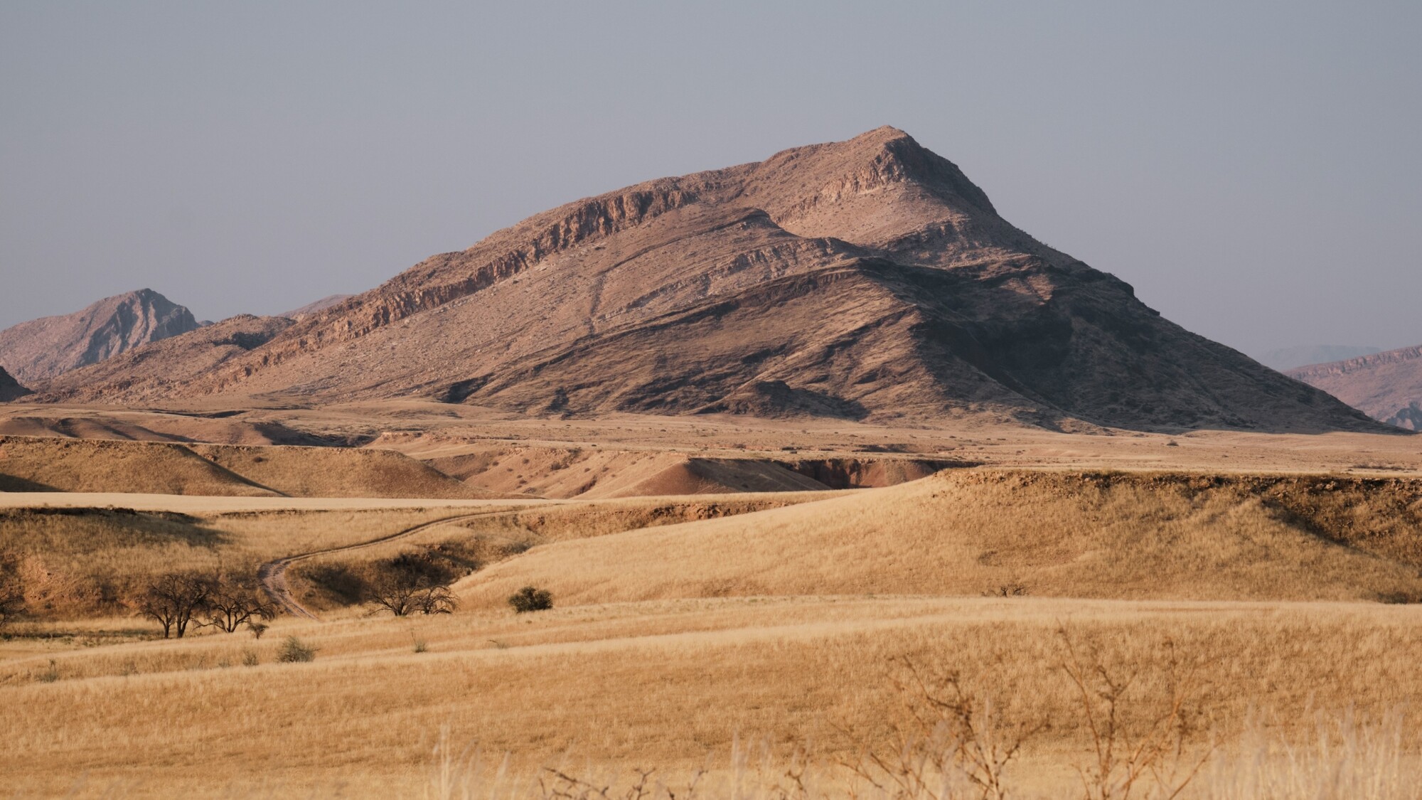 Réserve du Namib-Naukluft, Namibie