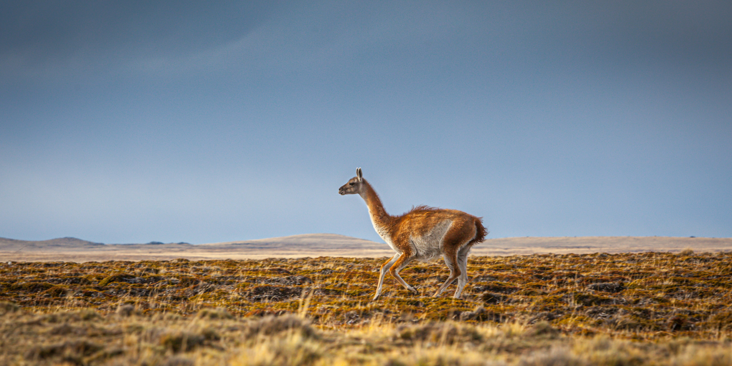 Patagonie, Chili ©Chris Stenger / Unsplash 