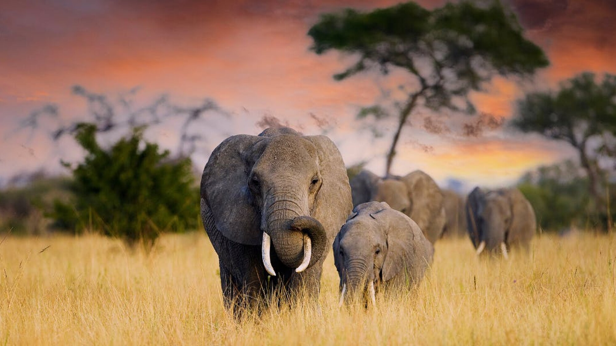 En route pour la Tanzanie !